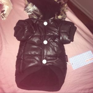 dog coat